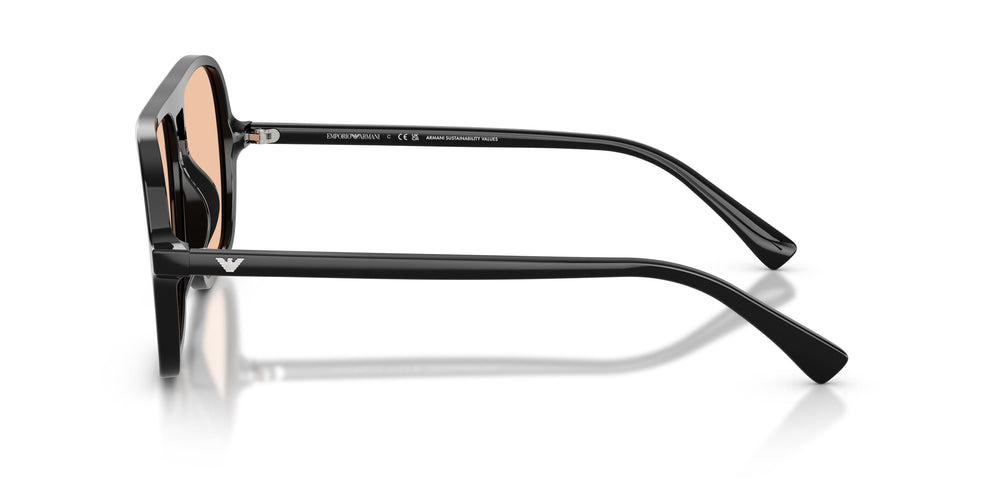 Emporio Armani EA4252U  501793 57
