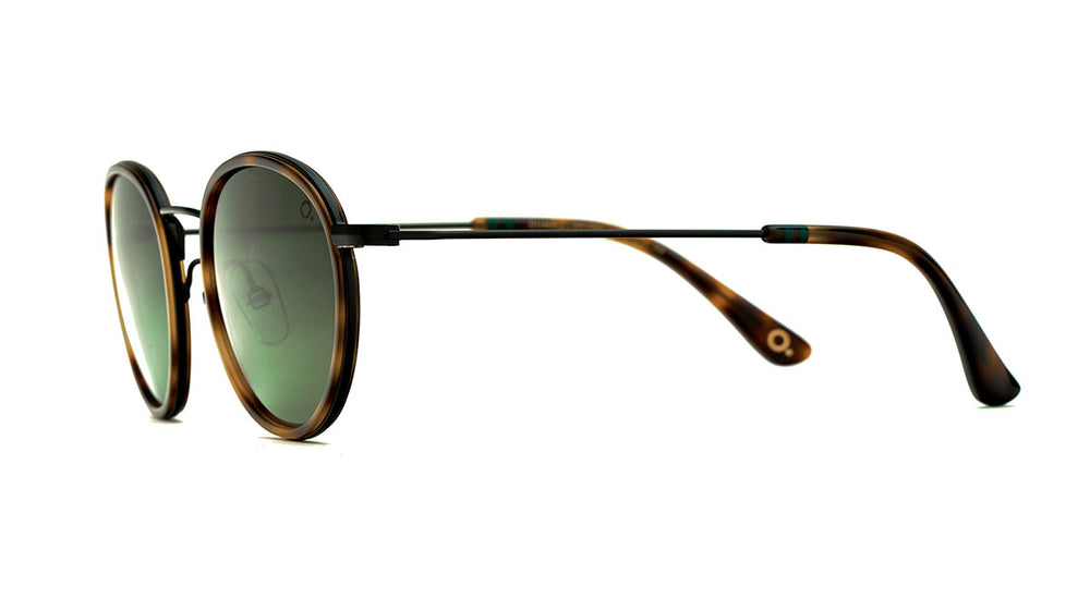 Etnia Barcelona DUMBO SUN HVBK 50