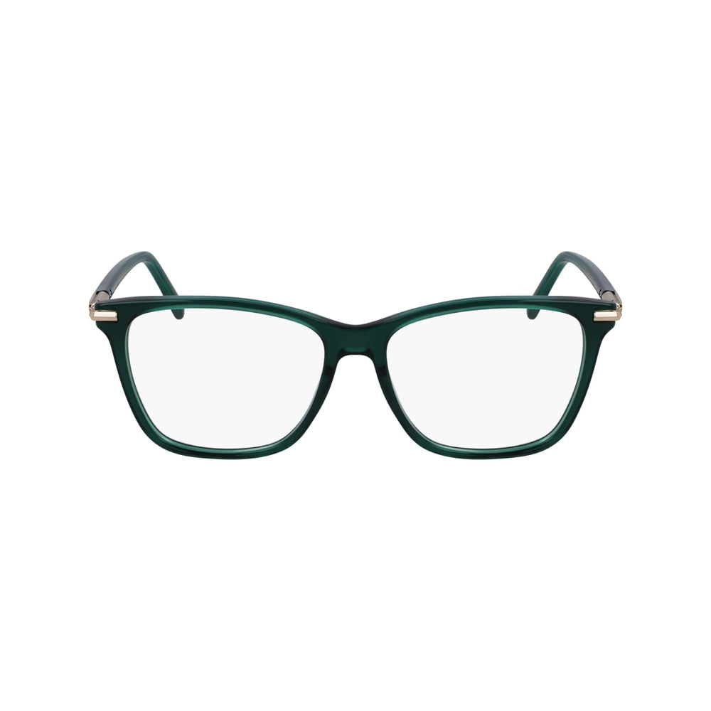 FERRAGAMO SF3013 317 55