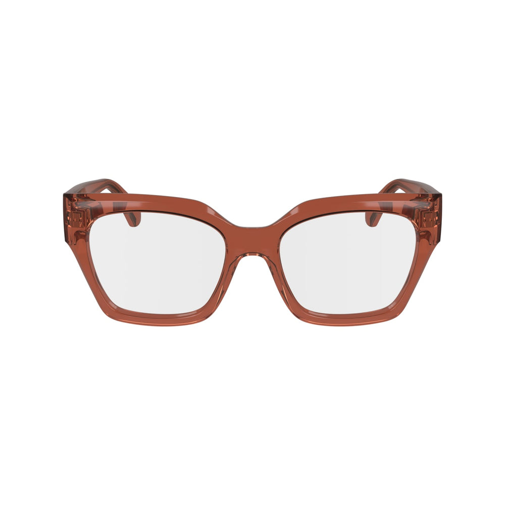 FERRAGAMO SF2983 224 53