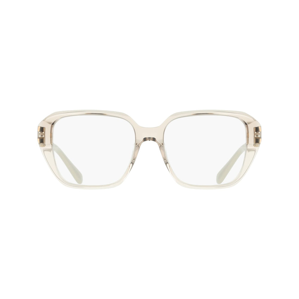 FERRAGAMO SF3073 260 53