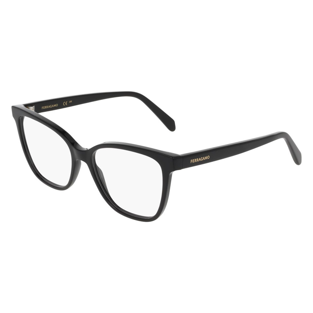 FERRAGAMO SF3062 1 54