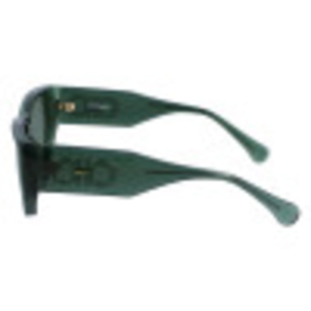 FERRAGAMO SF1077S 317 56