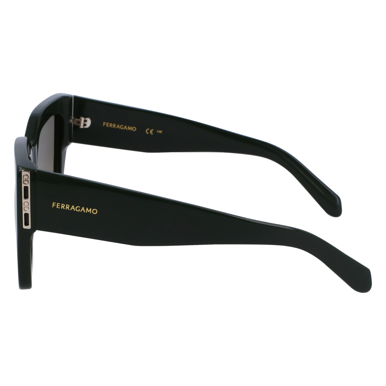 FERRAGAMO SF1104S 302 55