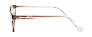 Face à Face BAHIA 2 1324 55