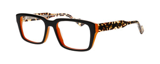 Face à Face CLINT2 1733 55