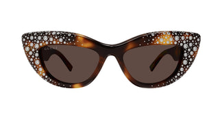 Gucci GG2031S 006 50