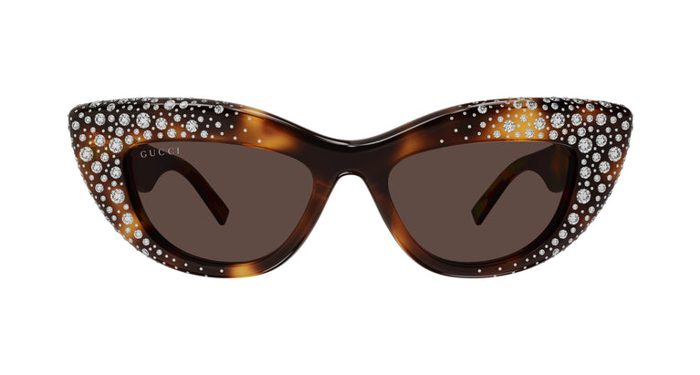 Gucci GG2031S 006 50