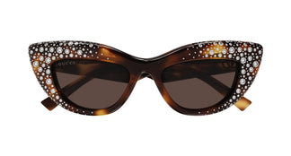 Gucci GG2031S 006 50