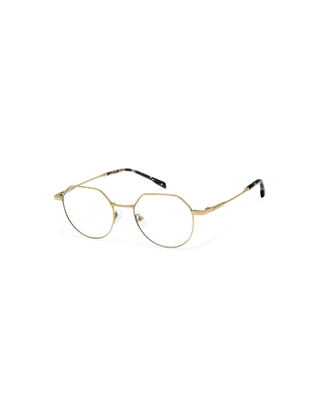 GigiStudios ISNE 51 49