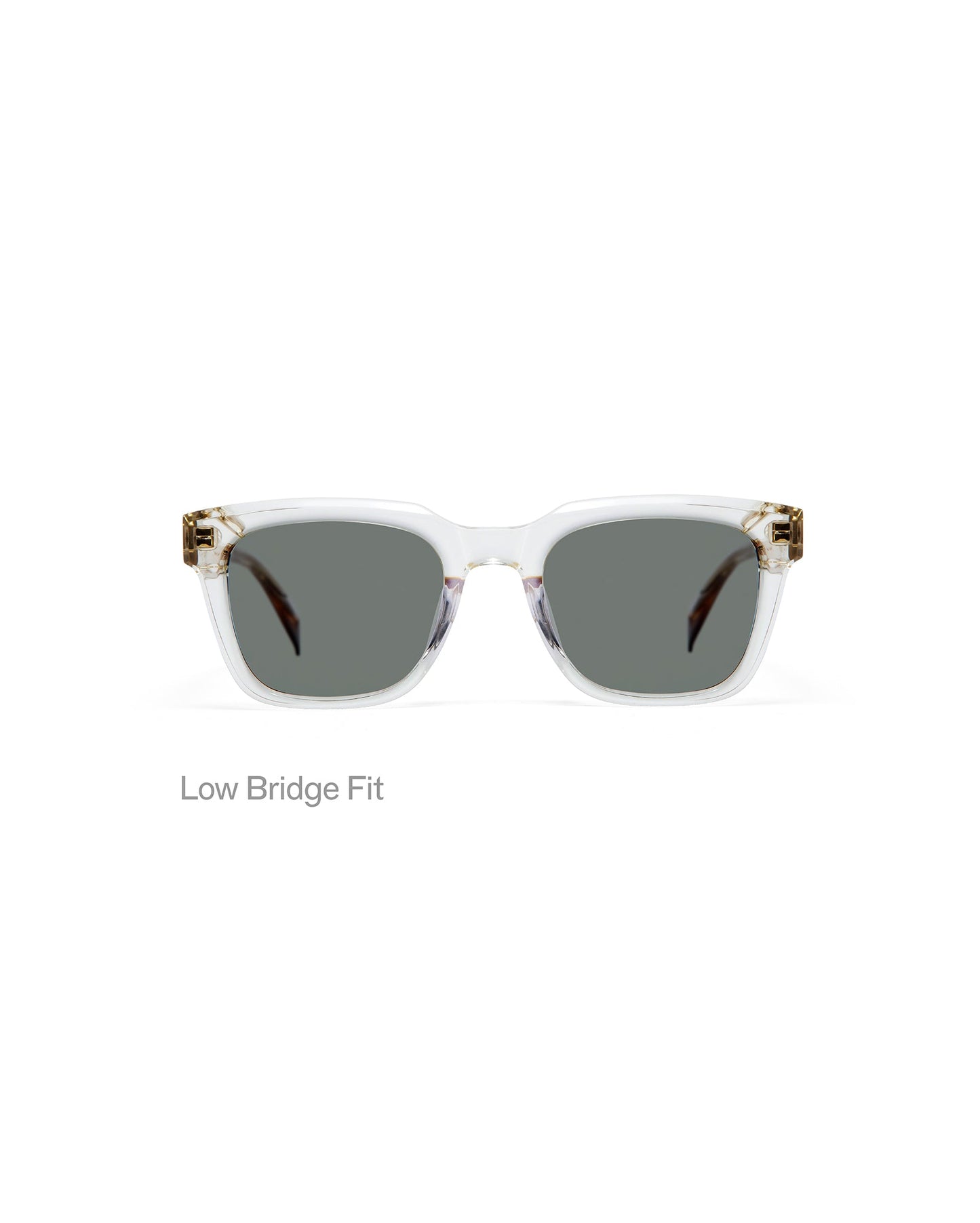 GigiStudios WRIGHT 8 55