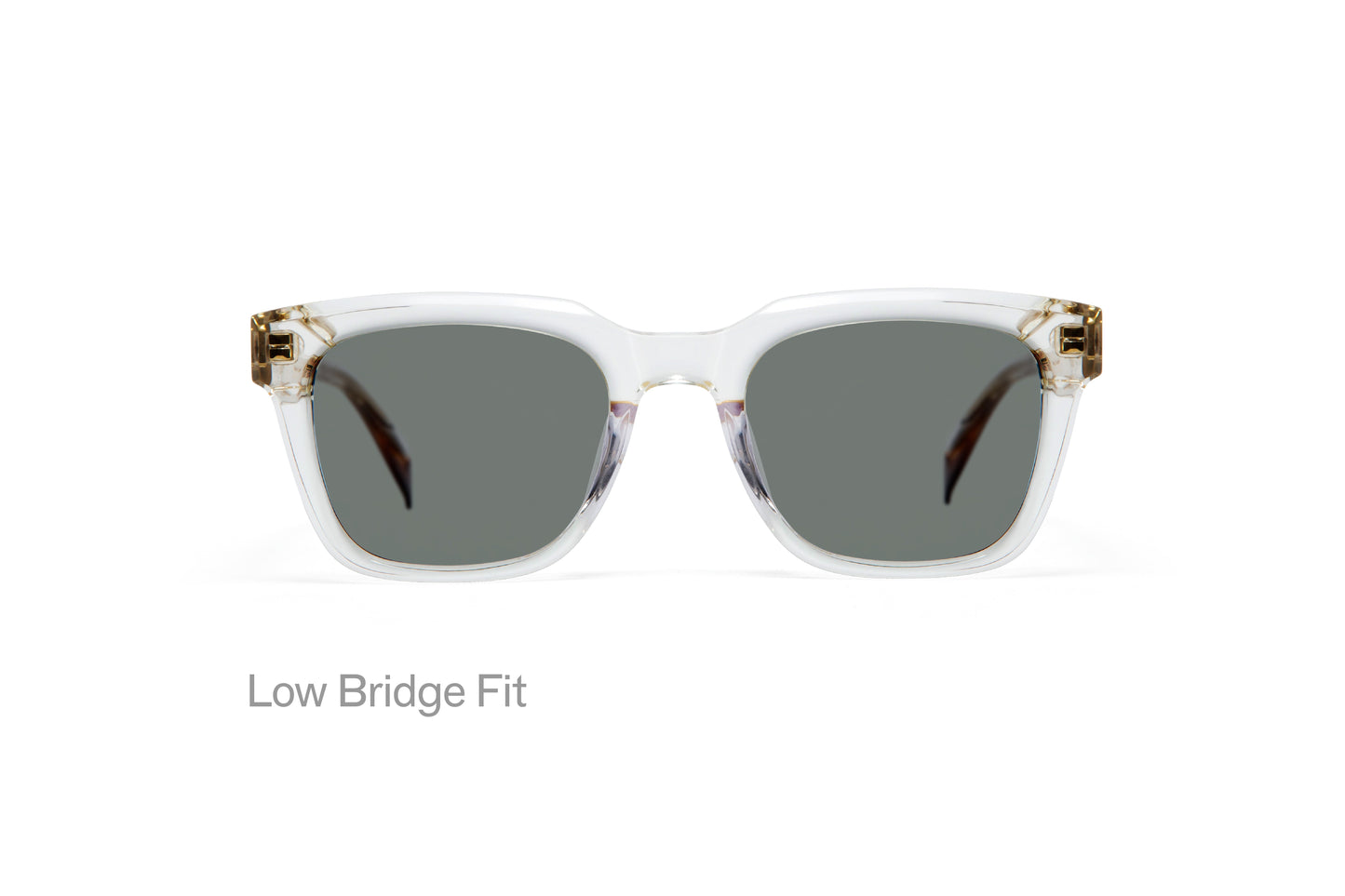 GigiStudios WRIGHT 8 55