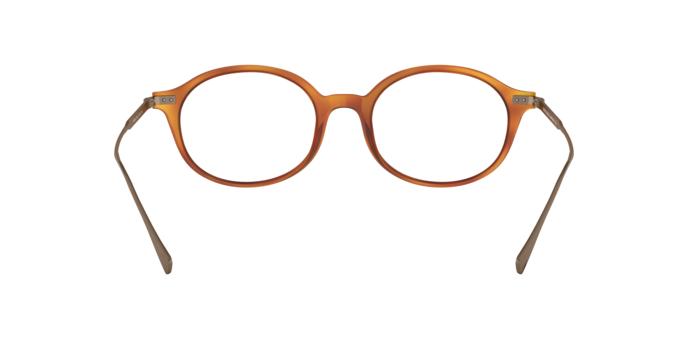 Giorgio Armani AR7181  5813 51