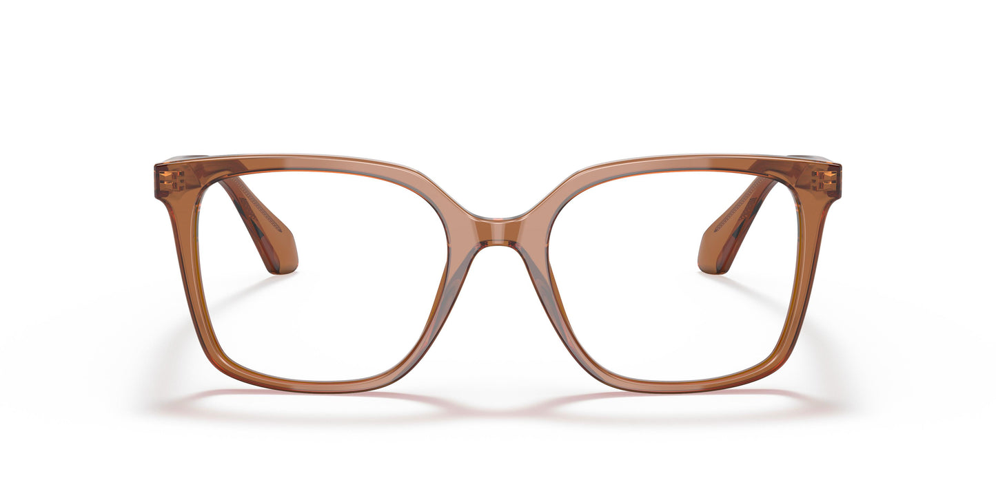 Giorgio Armani AR7217  5932 53