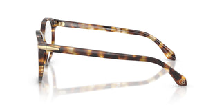 Giorgio Armani AR7279  6232 52