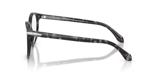Giorgio Armani AR7279  6236 50