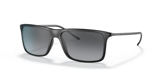 Giorgio Armani AR8034  5042T3 56
