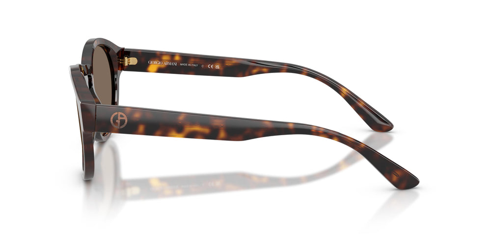 Giorgio Armani AR8146 502673 50