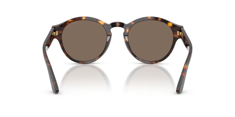 Giorgio Armani AR8146 502673 50
