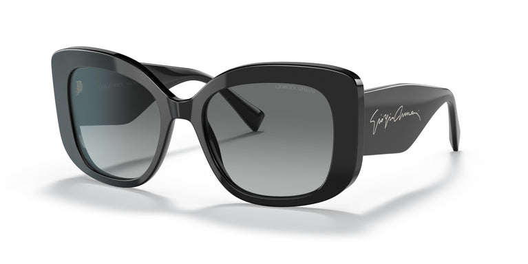 Giorgio Armani AR8150  500111 53