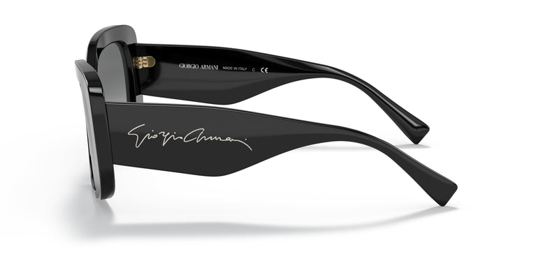 Giorgio Armani AR8150  500111 53