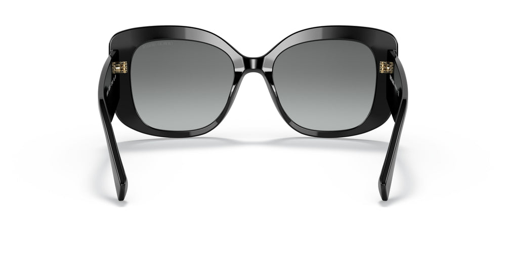 Giorgio Armani AR8150  500111 53