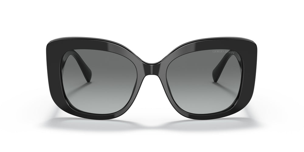 Giorgio Armani AR8150  500111 53