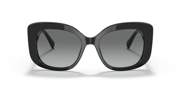Giorgio Armani AR8150  500111 53