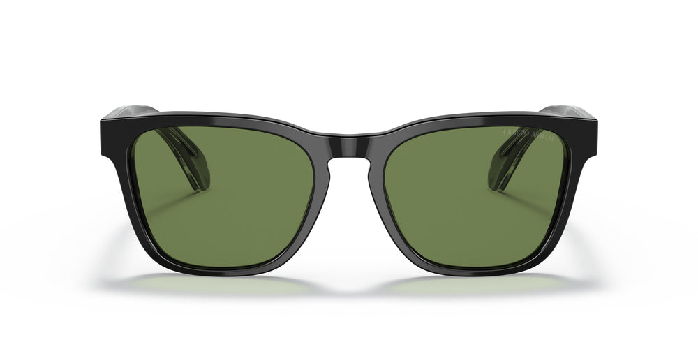 Giorgio Armani AR8155 58754E 55