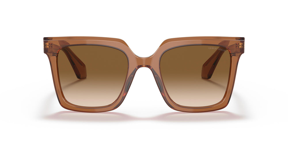 Giorgio Armani AR8156 593251 52
