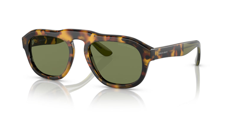 Giorgio Armani AR8173  50922A 52