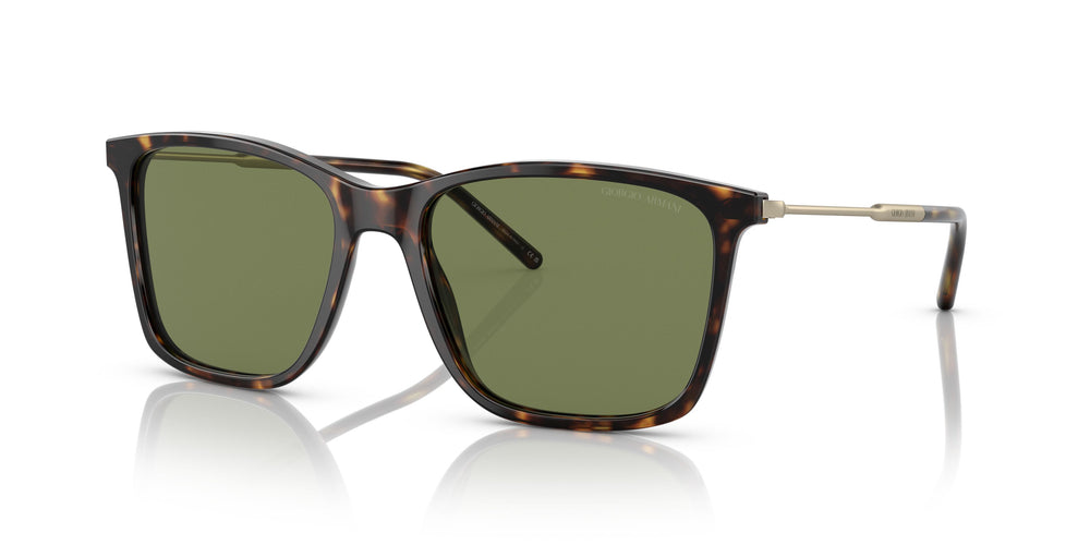 Giorgio Armani AR8176 50262A 57