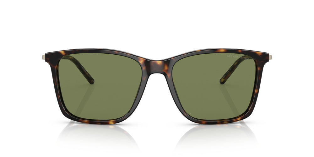 Giorgio Armani AR8176 50262A 57