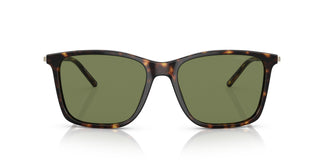 Giorgio Armani AR8176 50262A 57