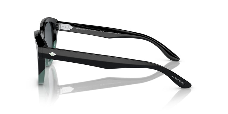 Giorgio Armani AR8181  5998R5 49