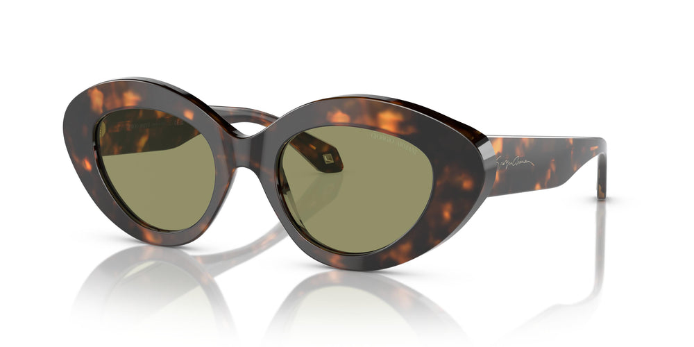 Giorgio Armani AR8188  599314 50