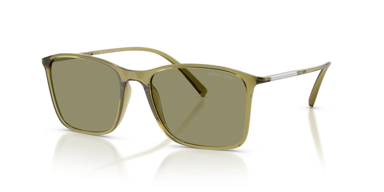 Giorgio Armani AR8231U  62402A 54