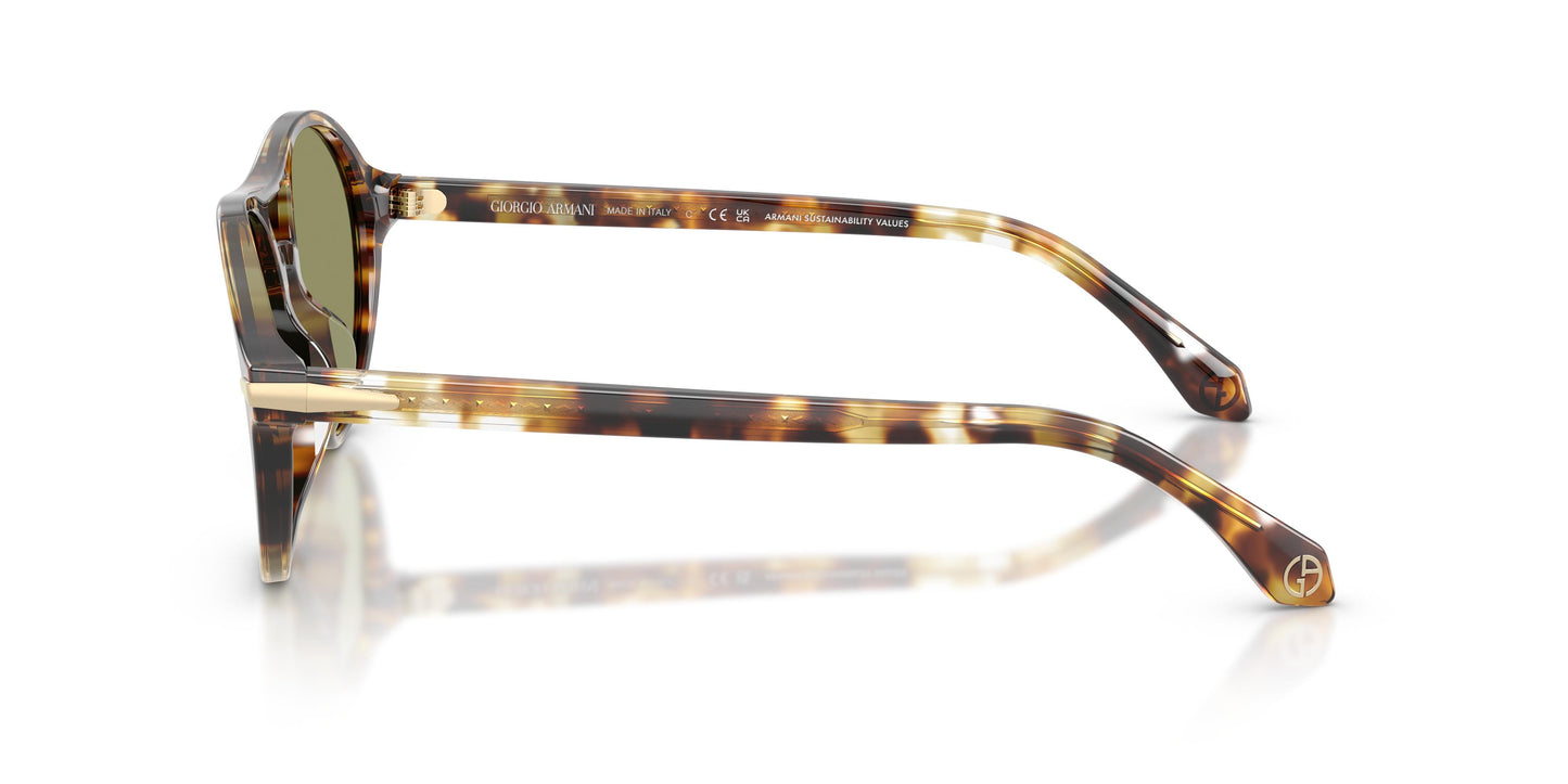 Giorgio Armani AR8236U  623214 55