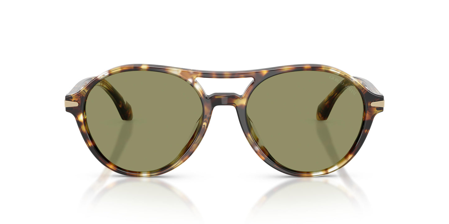 Giorgio Armani AR8236U  623214 55