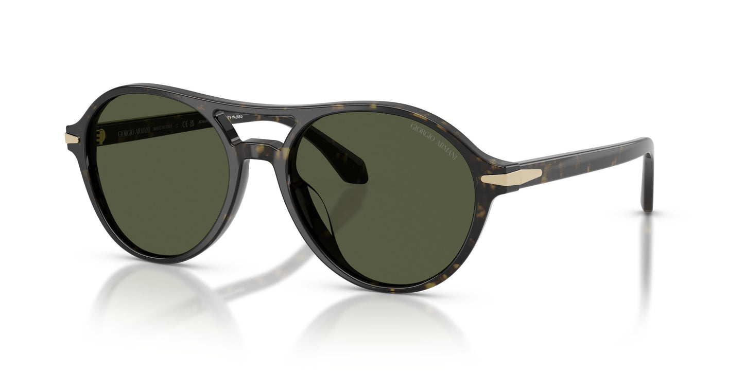 Giorgio Armani AR8236U  623352 55
