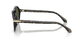 Giorgio Armani AR8236U  623352 55