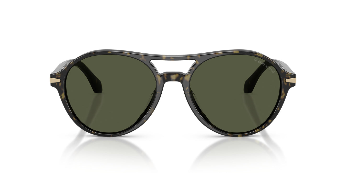 Giorgio Armani AR8236U  623352 55