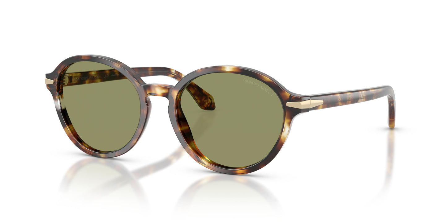 Giorgio Armani AR8237  623214 53