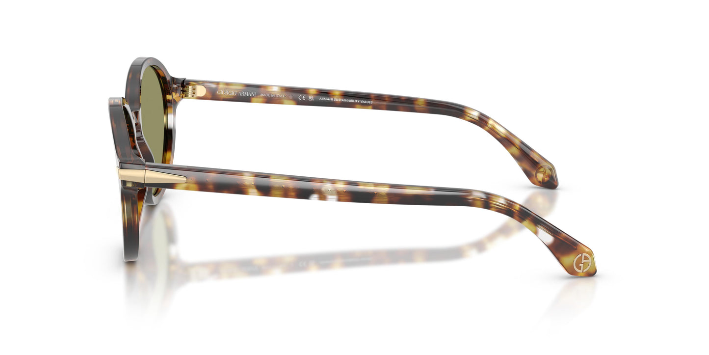 Giorgio Armani AR8237  623214 53