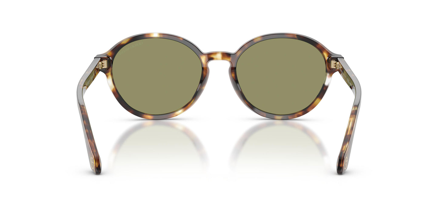 Giorgio Armani AR8237  623214 53