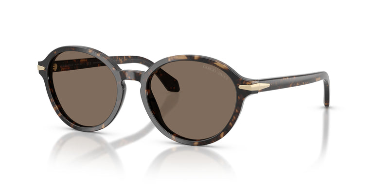 Giorgio Armani AR8237  623573 53