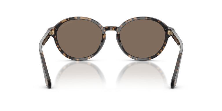 Giorgio Armani AR8237  623573 53