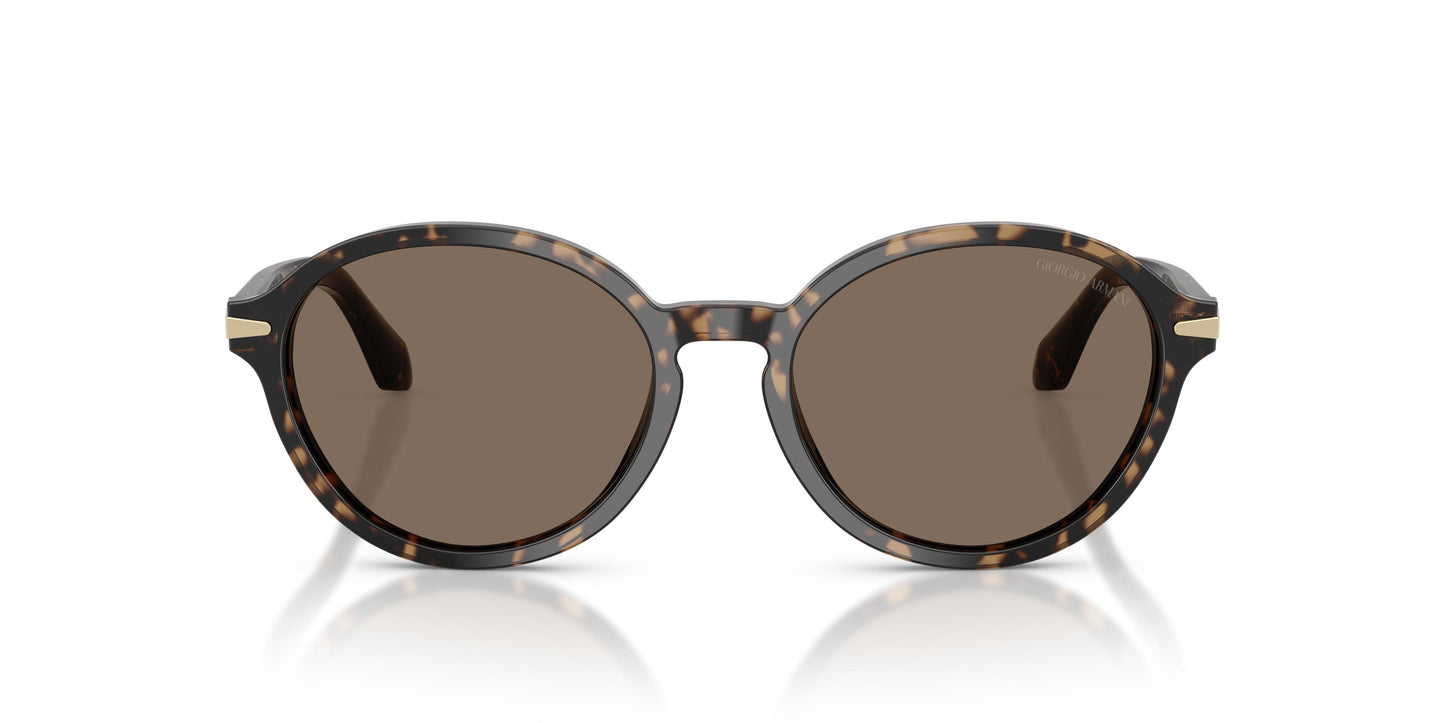 Giorgio Armani AR8237  623573 53