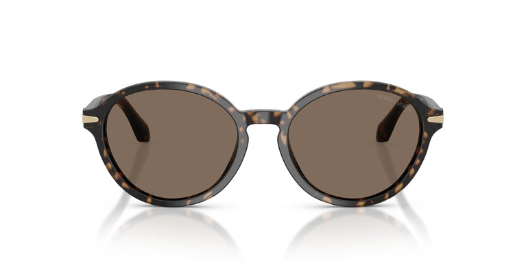 Giorgio Armani AR8237  623573 53