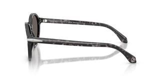 Giorgio Armani AR8237  6236B1 53